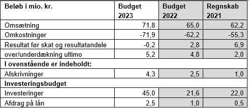 Tabel med budget og regnskab for anlægsinvesteringer